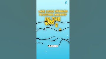 Why doesn’t glue stick to the inside of the bottle?