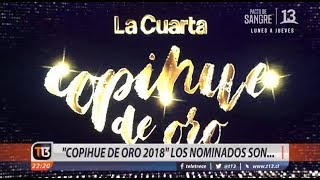 "Copihue de Oro 2018" presentó sus nominados