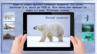 Лайфхаки функциональной грамотности. Мастер -класс "Технологические приемы мультимедийного урока"