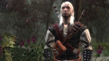 The Witcher Part 41 (Neutral path, Shani)