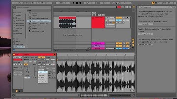 How to Change the Key of a Sample in Ableton Live 10