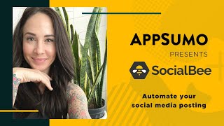 SocialBee How-To on AppSumo screenshot 2