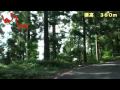 【酷道ラリー】国道193号線 その２