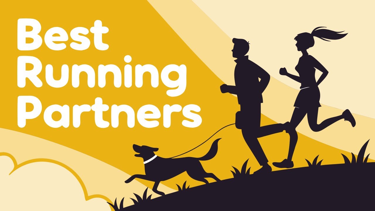 Running Partner Dogs Top 10 Dog Breeds for Runners - Best Running Partners 🏃♂️🐕 - YouTube