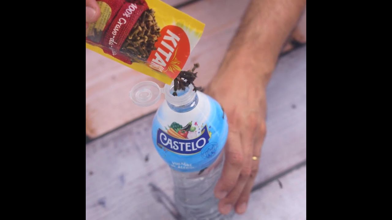 Add Cloves to White Vinegar and the Final Result was Amazing 