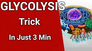 how to remember glycolysis in 3 minutes ? Glycolysis trick | chalk talk tutorials