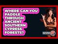 Where Can You Paddle Through Ancient Southern Cypress Forests? - Southern Culture Collective