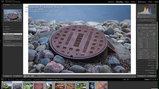 Celebrity Lightroom Develop Module - Basic adjustments Net Worth
