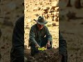 A Farmer Discovers A Roof In A Dry Stream Stories 