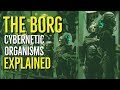 The BORG (STAR TREK Cybernetic Organisms Explained)