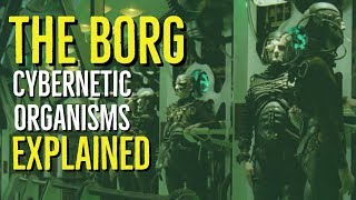 The BORG (STAR TREK Cybernetic Organisms Explained)