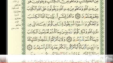 الصفحة ١١ من سورة آل عمران