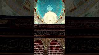 Ravzanabakmaya Resimi