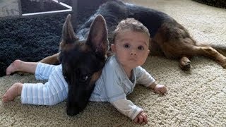 Funny Pets Being Overprotective! (Dogs Protecting Owners, Babies, Toys!) by Cute & Funny Animals 947 views 4 years ago 10 minutes, 3 seconds