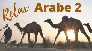 MUSICA RELAJANTE POSITIVA Y ALEGRE RELAX ARABE 2. Música Árabe Instrumental.