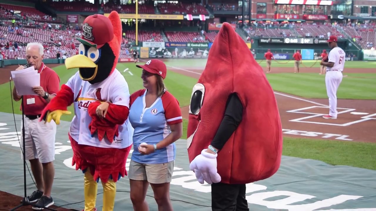First Pitch at St. Louis Cardinals Game - YouTube