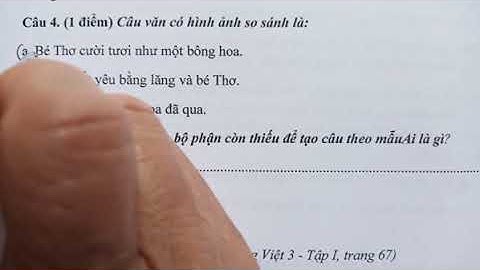 Đề thi giữa học kỳ I môn Tiếng Việt lớp 3 sách Cánh Diều