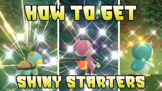 HOW TO Reset For Shiny Starters In Pokémon Brilliant Diamond and Shining Pearl screenshot 5