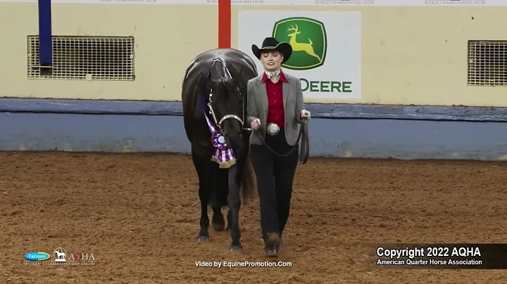 2022 Farnam AQHA and Adequan Select World Amateur Performance Halter Mares