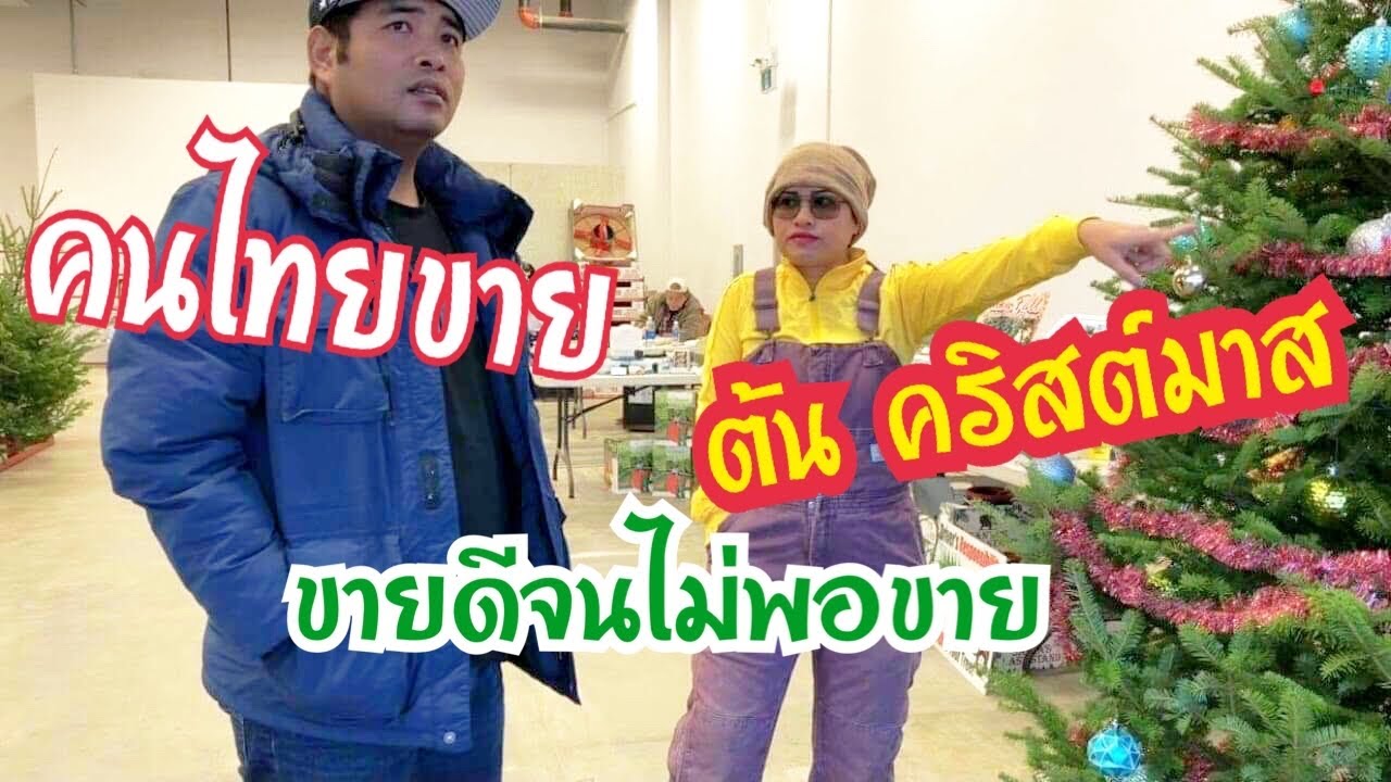 คนไทยขายต้นคริสต์มาส ขายดีมาก จนไม่พอขาย กับ พ่อเอวา พาไปดูๆ