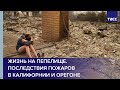 Жизнь на пепелище. Последствия пожаров в Калифорнии и Орегоне