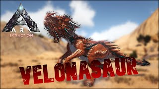 Taming A Velonasaur | Ark Survival Evolved | Extinction