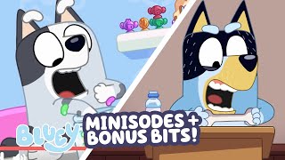 Download Lagu EVERY Bluey Minisode + Bonus Bit! 💙 ⭐️ | 60 MINUTES | Bluey MP3 Download Lagu EVERY Bluey Minisode + Bonus Bit! 💙 ⭐️ | 60 MINUTES | Bluey MP3