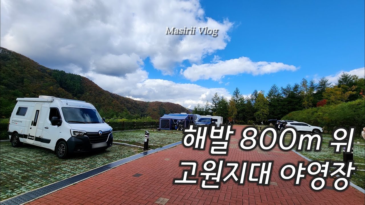 해발 800m 위 태백산국립공원 소도야영장. 캠핑하기 딱 좋은 계절