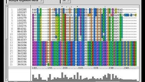 Bioinformatics part 4 Introduction to FASTA and BLAST