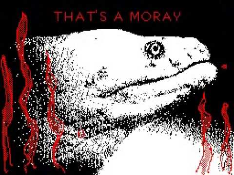 That's a Moray / Flipnote Hatena