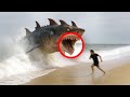 “STAY OUT OF THE WATER” — Terrifying New Shark Attacks Shock the World!