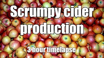 How to make scrumpy cider - 3 hour timelapse