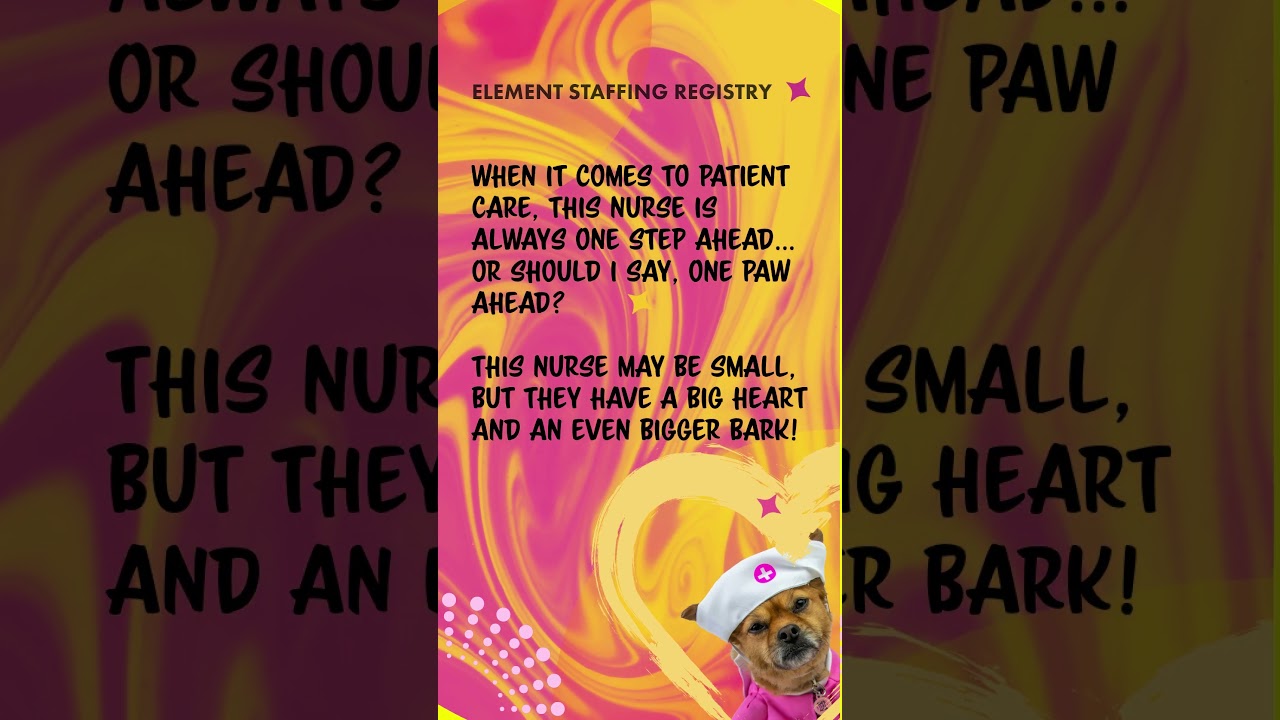 🐾 Meet the Paw-sitive Therapy Dog Bringing Joy to Healthcare Workers 🐾