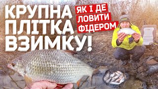 А У ПЛОТВИ ЗИМОВИЙ ЖОР!!! ДЕ І ЯК РИБАЛИТИ КРУПНУ ПЛІТКУ ФІДЕРОМ! ГРУДЕНЬ 2021.