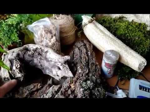 ორქიდეომანია # ნაწილი #1, როგორ გავაკეთოთ მცენარეების (ორქიდეებისა და გვიმრების) კოლაჟი,