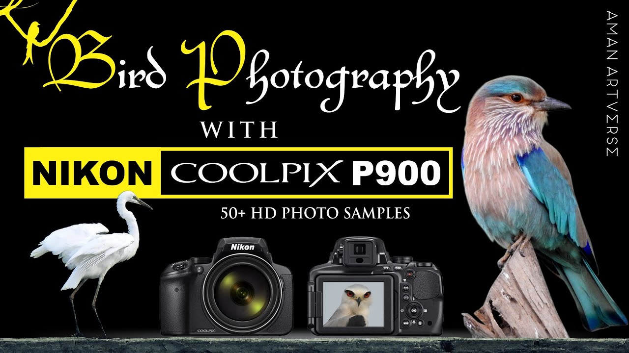 Bird Photography with Nikon Coolpix P900 Birding with Nikon P900