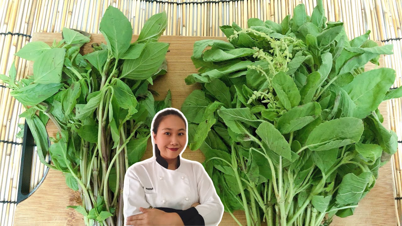 Kitchen Tips !! For Your Thai Herbs • Sweet Basil & Holy Basil