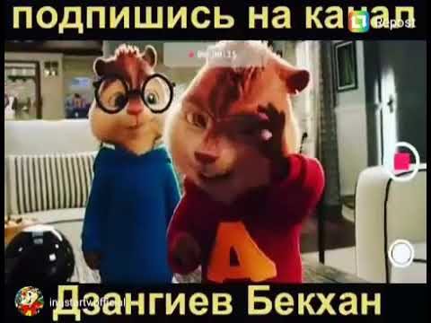 дзангиев бетхан теща дзангиев бетхан теща