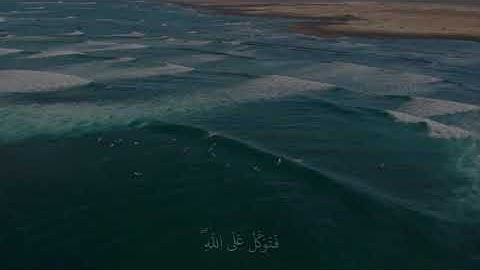 فتوكل علي الله ❤️ || القارئ هزاع البلوشي ❤️