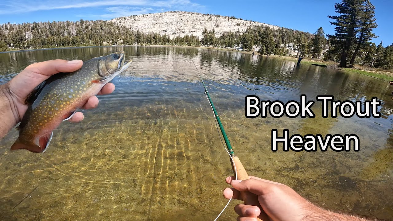 Lake Yosemite Trout Fishing 