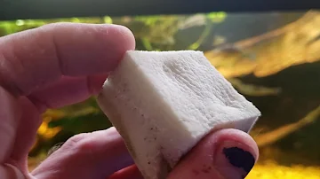 What cleaners are safe for fish tanks?