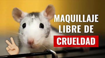 ¿Los productos M-A-C son libres de crueldad?