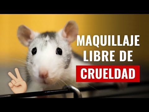 Video: ¿Son los cosméticos libres de crueldad?