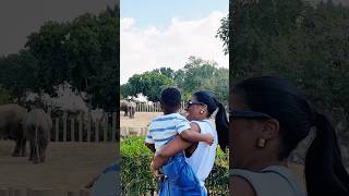 Our first time visiting @DubaiSafariPark and we’re planning another trip🦓🦁🐘🐊