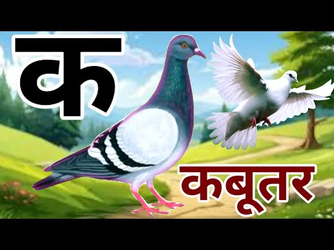 अ से अनार | आ से आम | a se anar | aa se aam | क से कबूतर | K