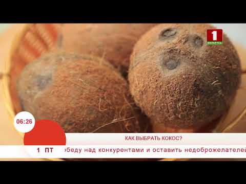 2 правила при выборе кокоса