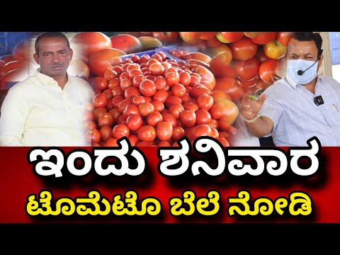 Today Tomato Price in Kolar Karnataka India idea news kannada ಪ್ರತಿ ದಿನ ತಪ್ಪದೆ ನೋಡಿ