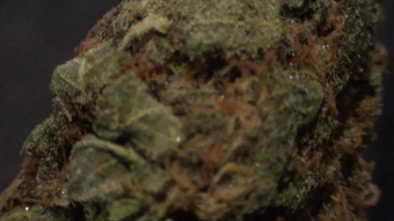 Mango Haze (Close Up 1080p)