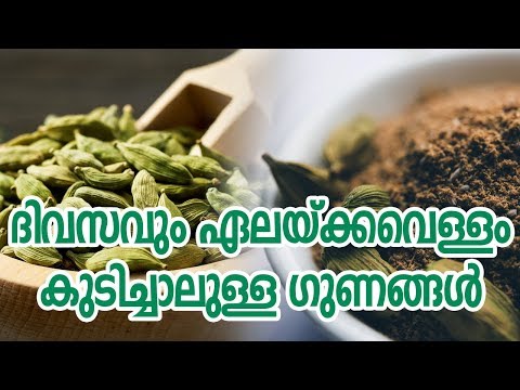 ദിവസവും-ഏലയ്ക്കവെള്ളം-കുടിച്ചാലുള്ള-ഗുണങ്ങൾhealthy-kerala-|-healthy-drink-|-health-tips-|-health