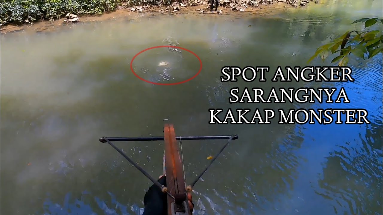 MASER IKAN DISPOT ANGKER, TERNYATA SARANGNYA KAKAP MONSTER!!!